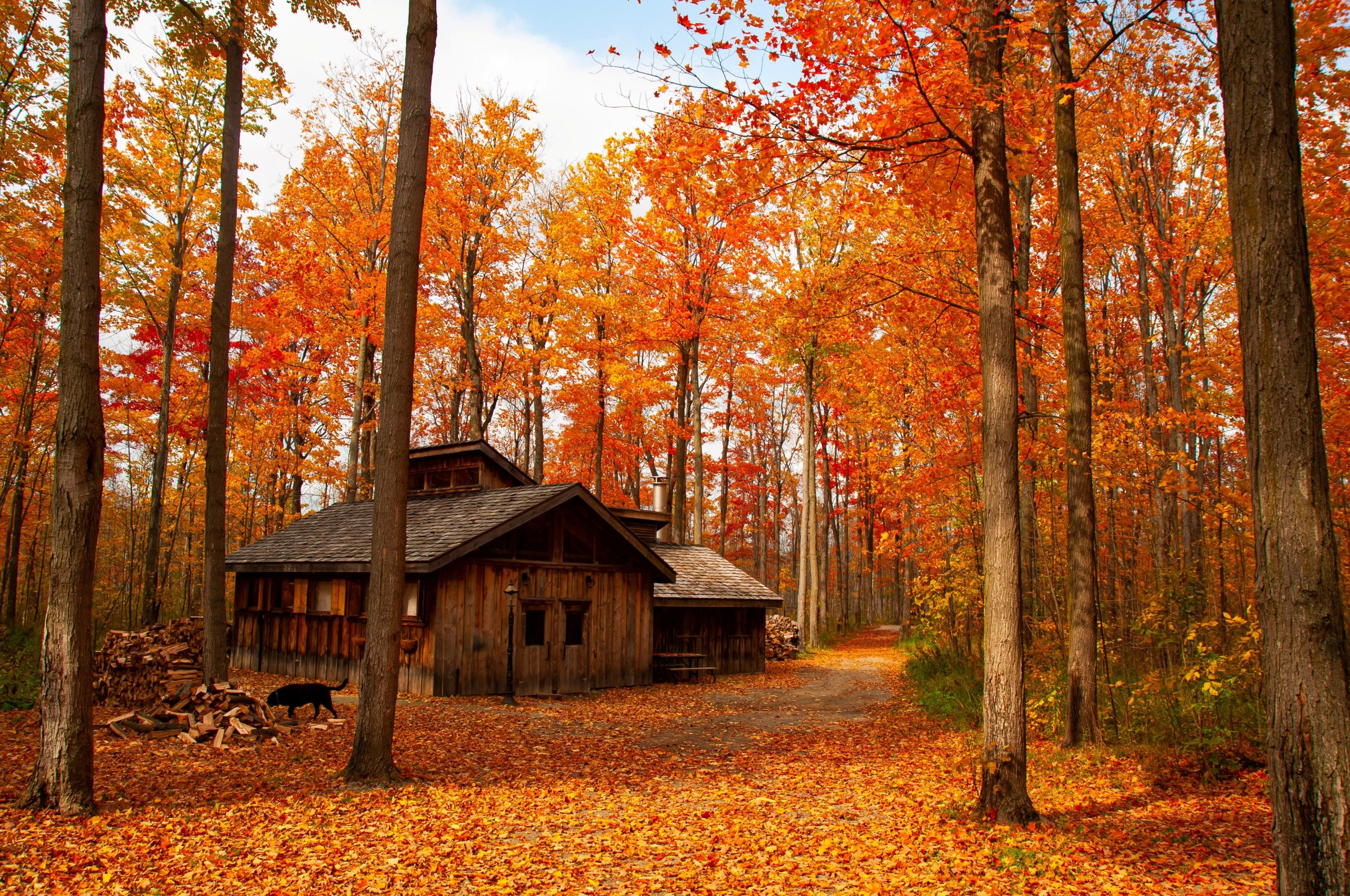 New England Maple Farms
