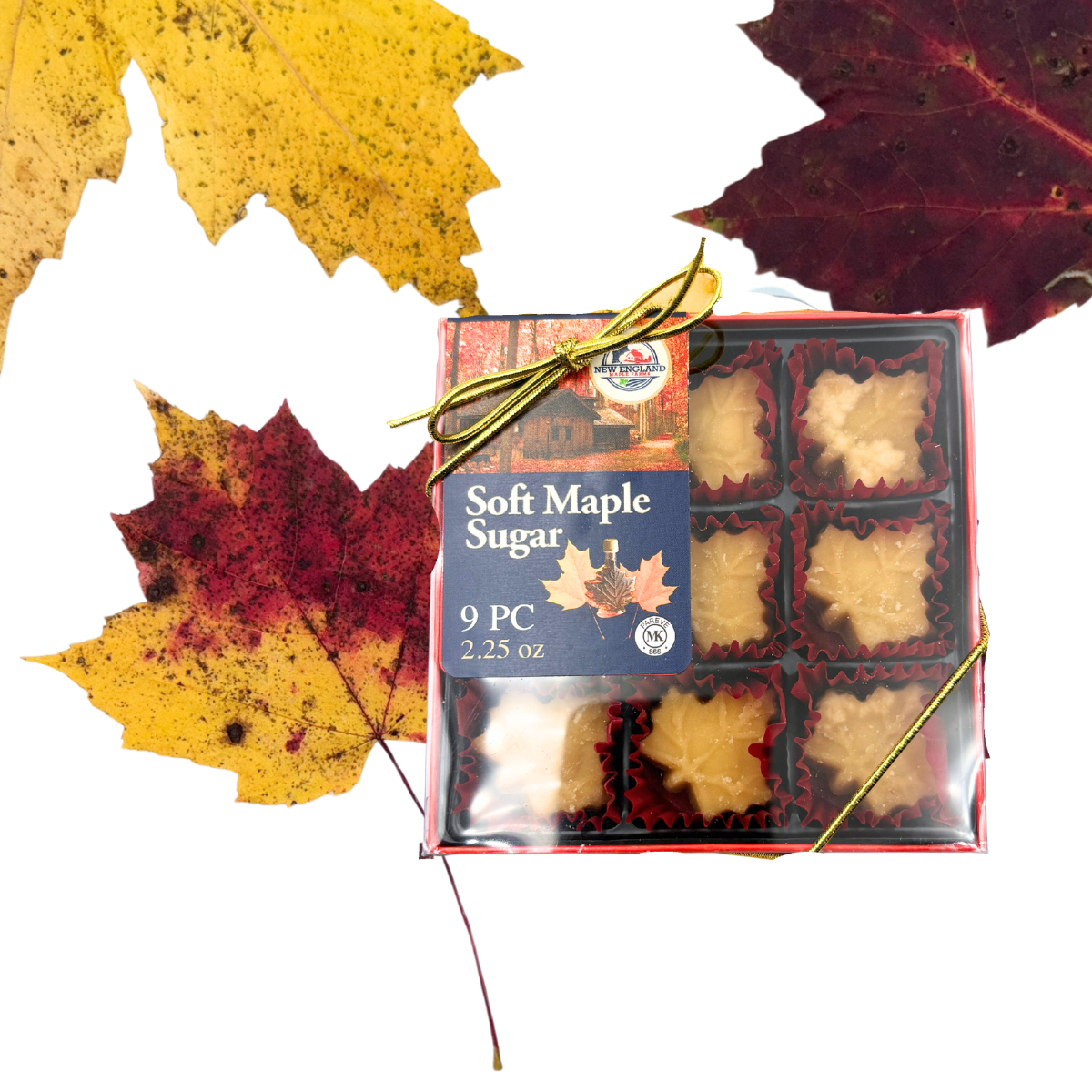 Création sans titre (22)